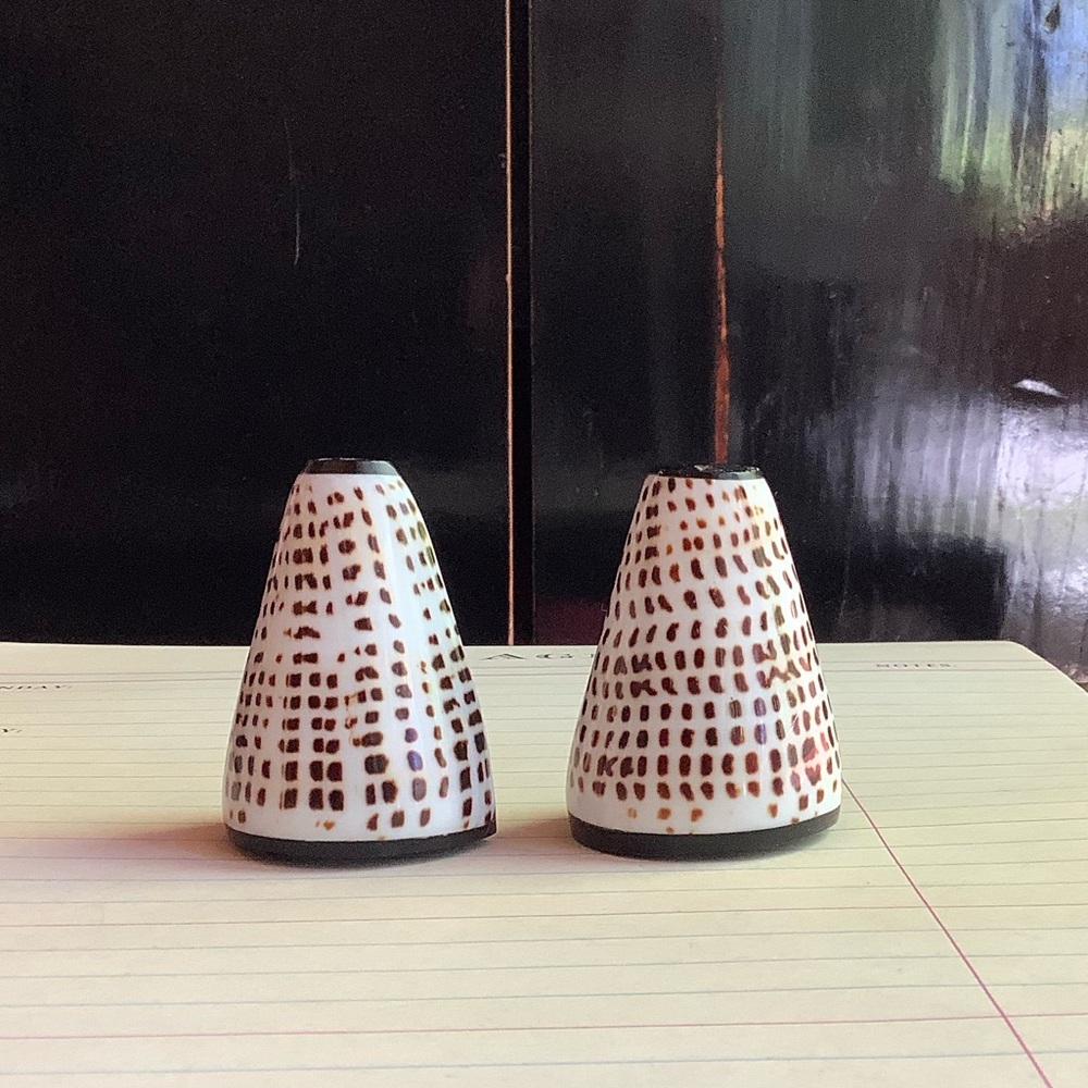 Cone Shell Salt and Pepper Shakers